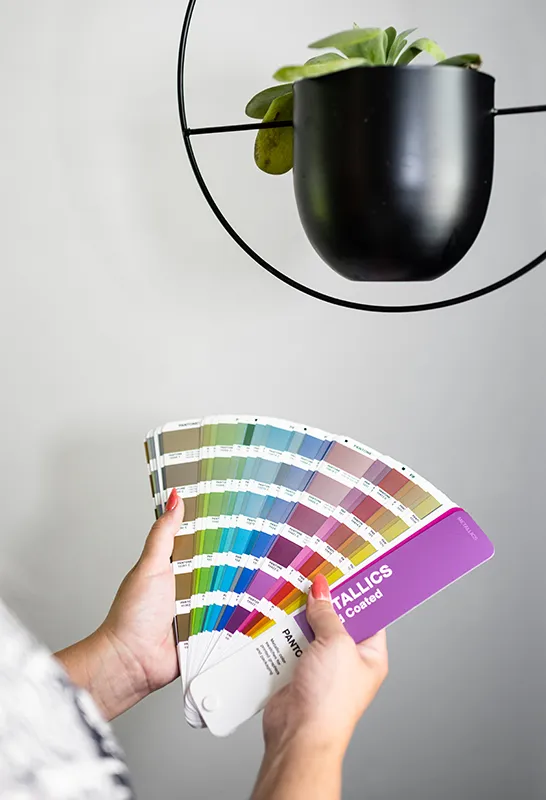 A lady holding a colour fan against a monochromatic wall where a succulent has been elevated